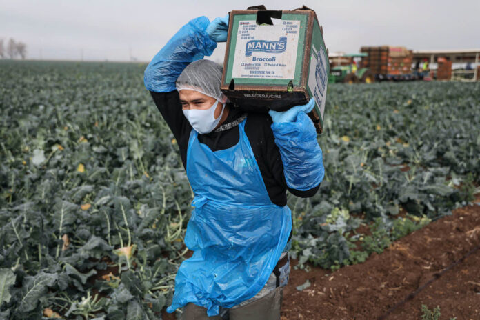 Farm Worker Jobs