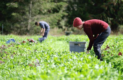 Farm Worker Jobs